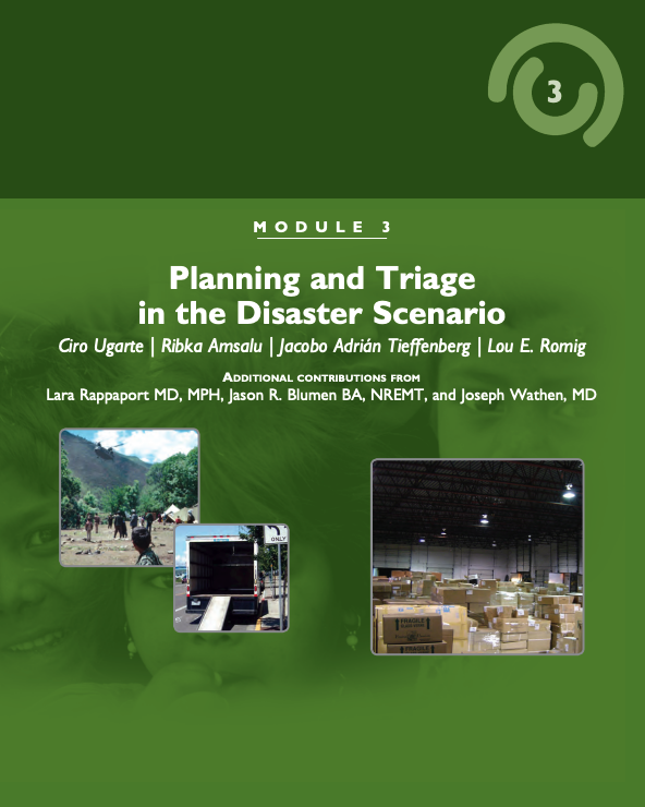 Planning and Triage in the Disaster Scenario