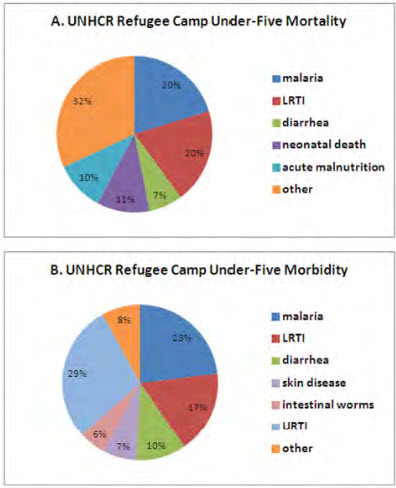 FIGURE 1. Mortality in two refugee camps